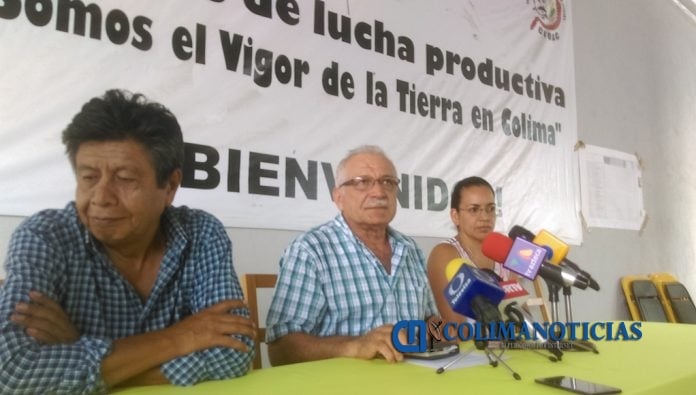 productores unidos