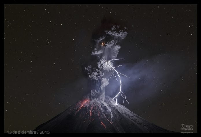 fotografia de tapiro 2