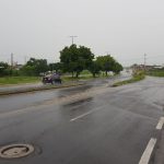 los perritos lluvia