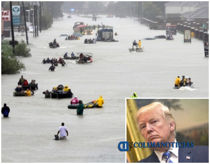 trump houston