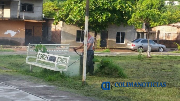 BRIGADA DE LIMPIEZA EN PARQUES Y JARDINES DE ARMERIA