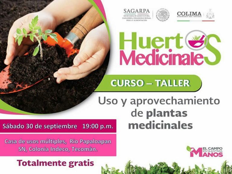 Invita DIF Tecomán a familias para que asistan al taller de huertos medicinales