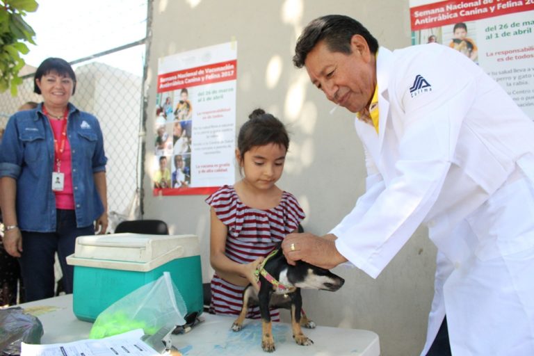 Continúa la vacunación antirrábica de perros y gatos