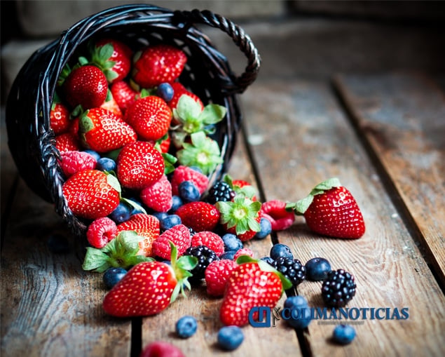 frutosrojos