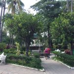 jardin libertad centro