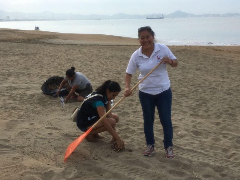 Conmemora Ayuntamiento de Manzanillo Día Internacional de Playas Limpias con mega limpieza