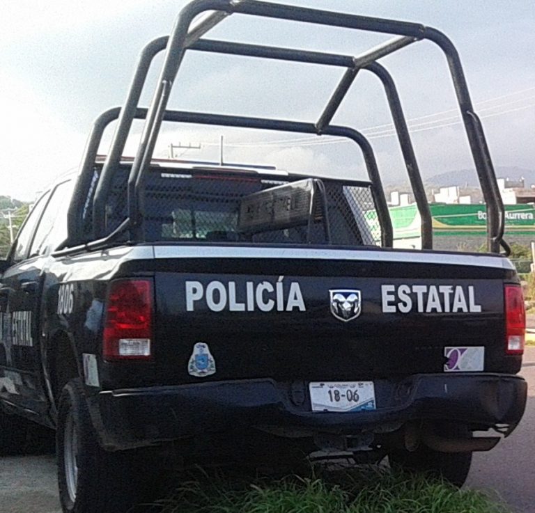 Al Complejo de Seguridad, portador de hierba verde