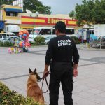 policia estatal seguridad centro