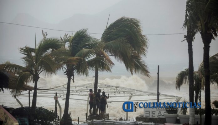 People stand next tp swaying palm trees following the passing of Tropical Storm Lidia in Los Cabos