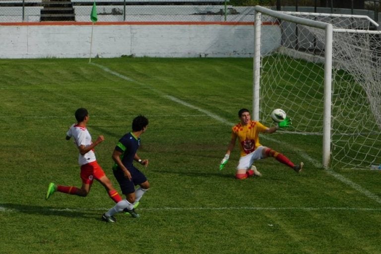 Palmeros, Sublíder en Tercera División