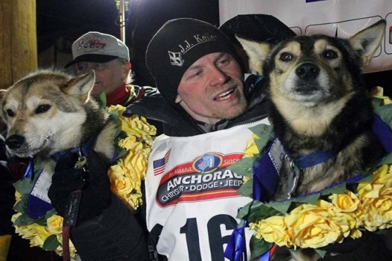 Perros dan positivo por doping en carrera de trineos