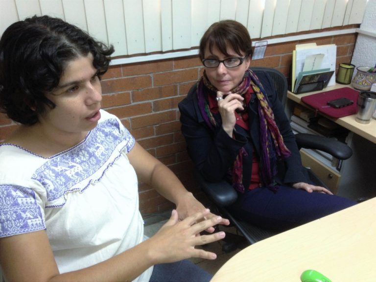Investigan relación entre el sistema inmune y la obesidad