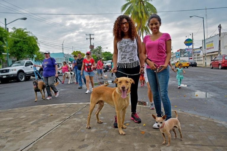 El Ayuntamiento de Colima invita al Foro “Por una Juventud ConCiencia Animal”