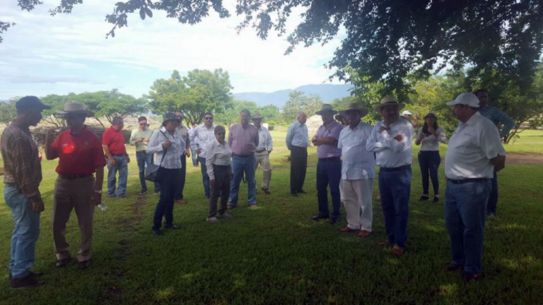 Proyecto arqueológico “La Campana” dará realce al estado: INAH Colima