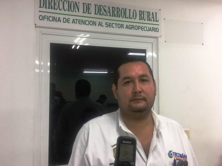Apoya Ayuntamiento de Tecomán paro de corte de limón para este fin de semana