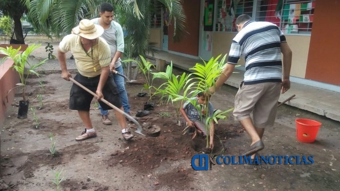 REFORESTAN EN RINCON DE LOPEZ