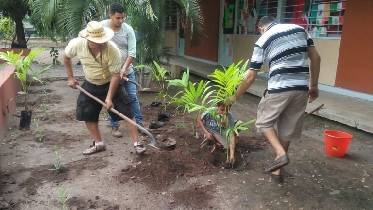 Reforestan Escuela Primaria de Rincón de López con 600 plantas de ornato