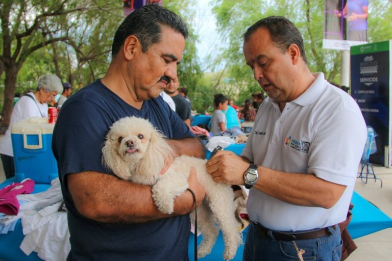 Municipio de Colima dignifica la vida de los animales de compañía