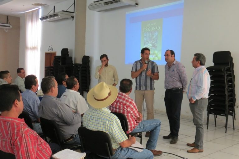 Clausuran en Armería taller sobre la variedad de coco “enano-verde”