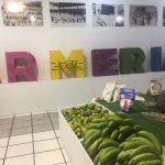 pabellon armeria feria de colima