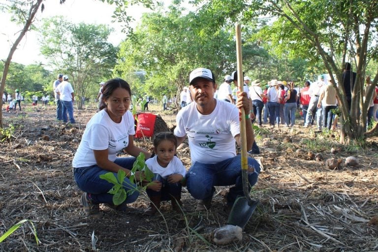 Lluvias copiosas benefician programas de reforestación, señala David Rodríguez