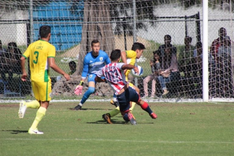 Chivas despluma a Loros