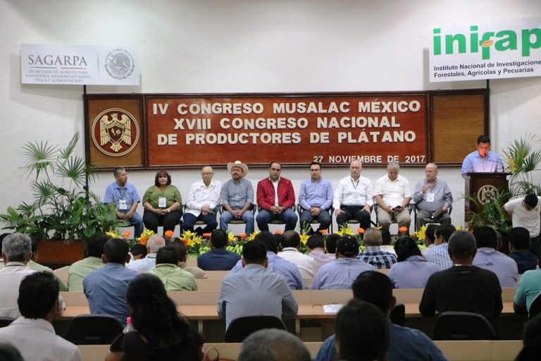 Congreso Nacional Bananero traerá beneficios a productores locales