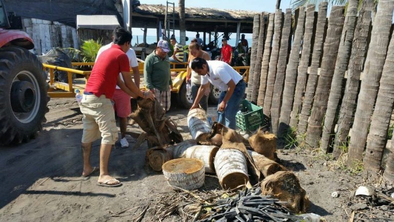 Campaña de limpieza que organiza Eusebio Mesina cambia imagen de la Playa de El Paraíso