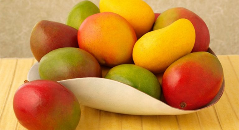 Se espera que 2018 sea mejor en producción de mango: Coemango