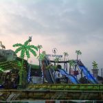 troncos feria de colima