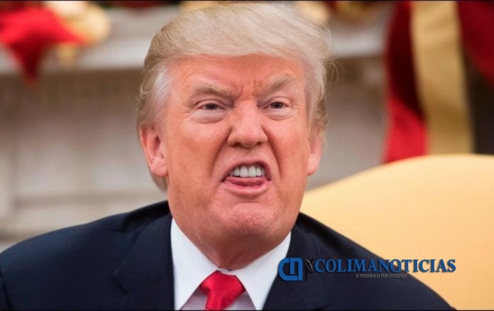 trump 12 dic