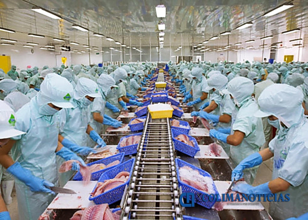 Canadian fish and seafood processing company offers vacancies