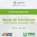 UDEC BECAS