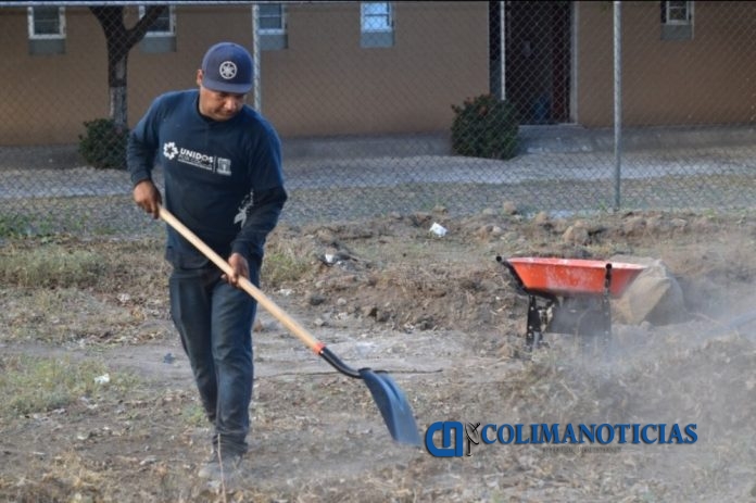 ayuntamiento de colima trabajador