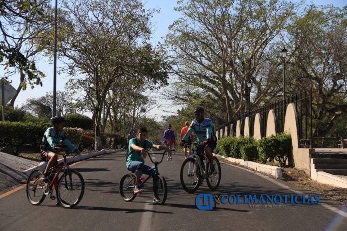 bicicletas ciclistas