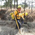 conafor combatientes de incendios forestales