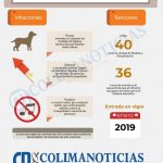 infografia vecinos congreso