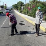 bacheo ARMERIA