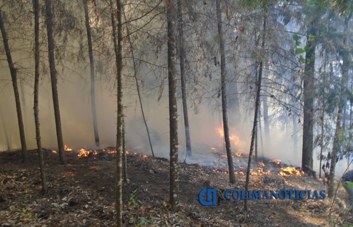 incendio forestal