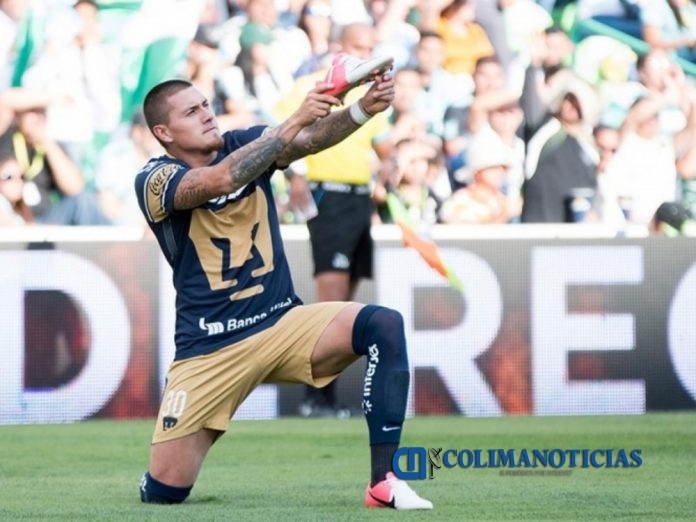 pumas