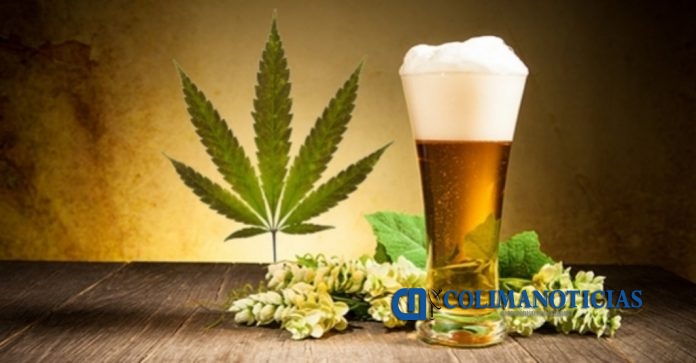 Cerveza Cannabis