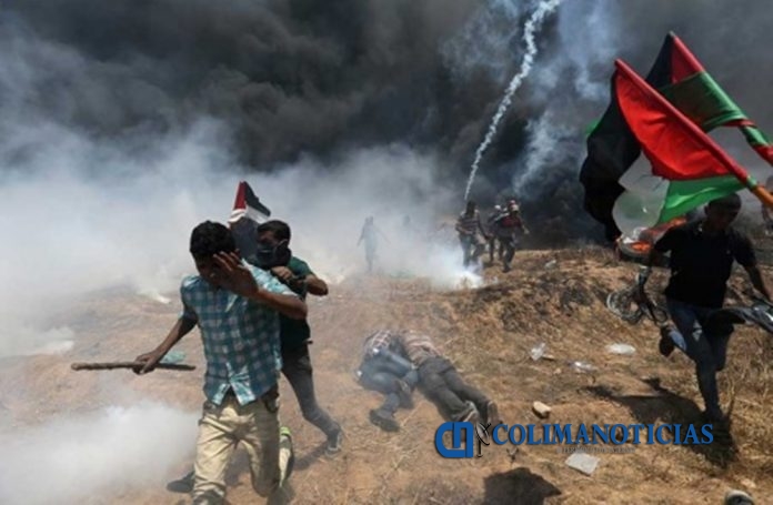 gaza