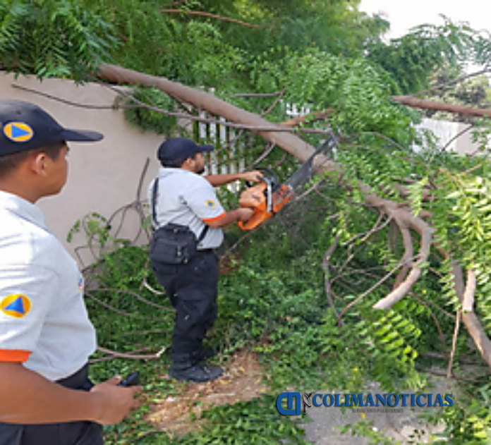 Bud Manzanillo 3