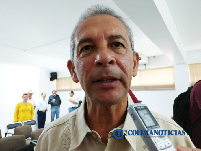 avalos verdugo