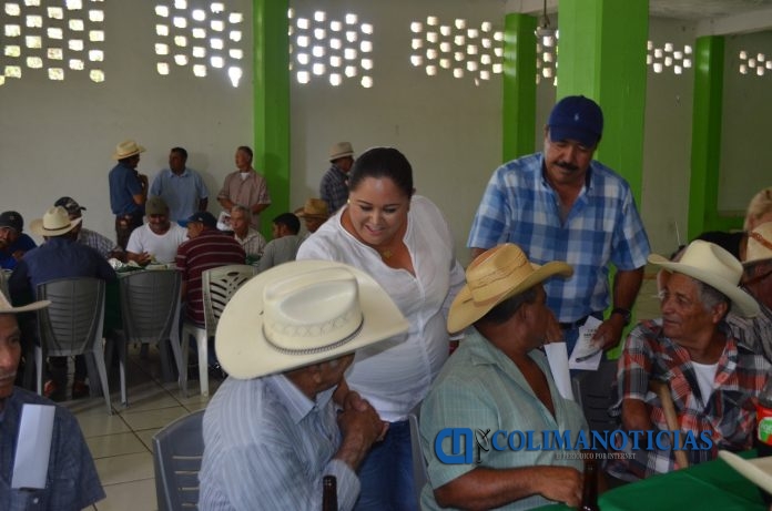 ivet campaña