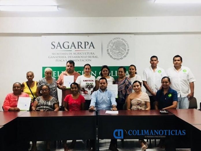 Sagarpa entrega casi 5 mdp a pequeños productores en Colima