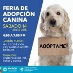 adopcion ayuntamiento