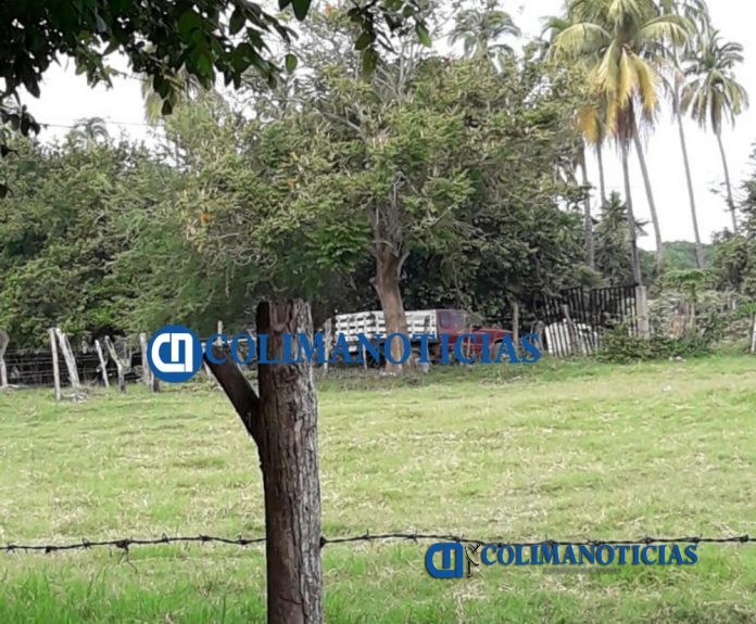 el colomo ejecutan a carnicero