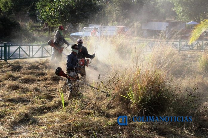 limpieza lote baldio