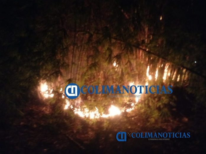 manzanillo INCENDIO